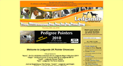 Desktop Screenshot of ledgands.co.uk